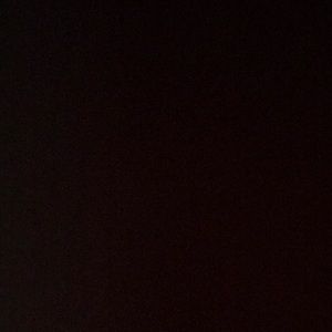 Meet your Posher, Ann